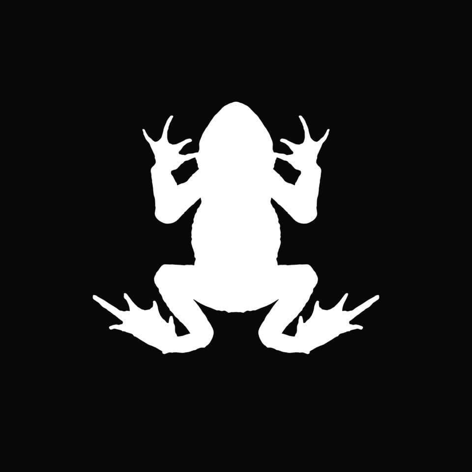Amphibian